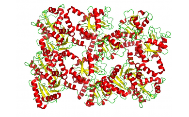 Lactoferin, tajná zbraň imunitního systému 